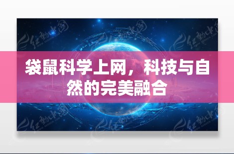 袋鼠科学上网，科技与自然的完美融合