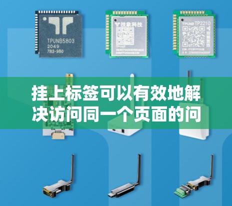 挂上标签可以有效地解决访问同一个页面的问题。以下是挂上科学上网标签的步骤