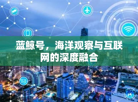 蓝鲸号，海洋观察与互联网的深度融合