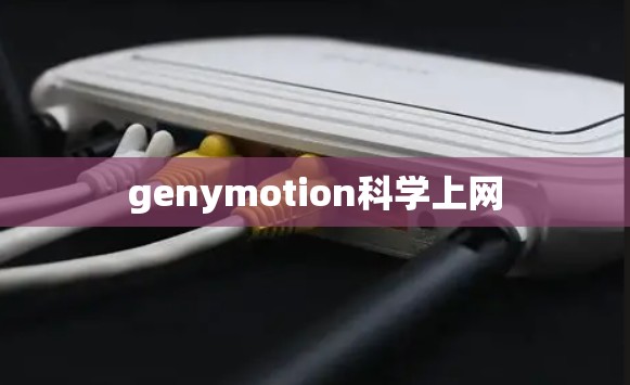 genymotion科学上网