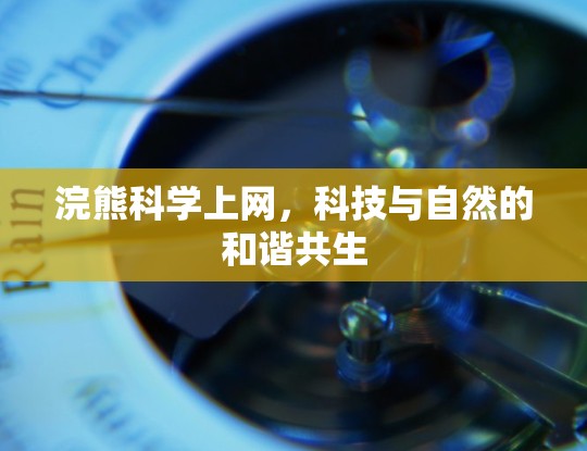 浣熊科学上网，科技与自然的和谐共生