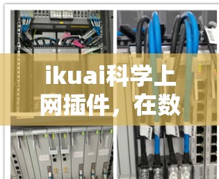 ikuai科学上网插件，在数据科学与网络世界的创新突破