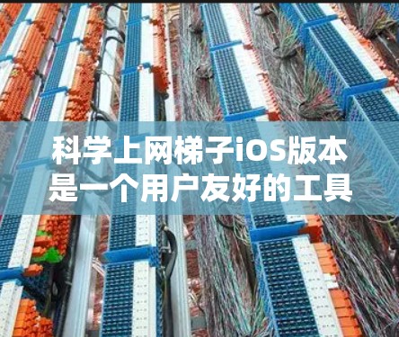 科学上网梯子iOS版本是一个用户友好的工具，帮助你管理电脑资源，包括软件和文件。以下是逐步的使用指南