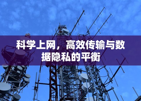 科学上网,高效传输与数据隐私的平衡 科学上网,高效传输与数据隐私的平衡