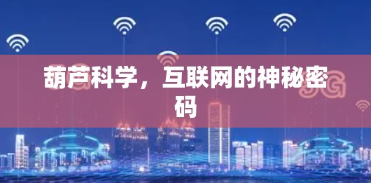葫芦科学，互联网的神秘密码