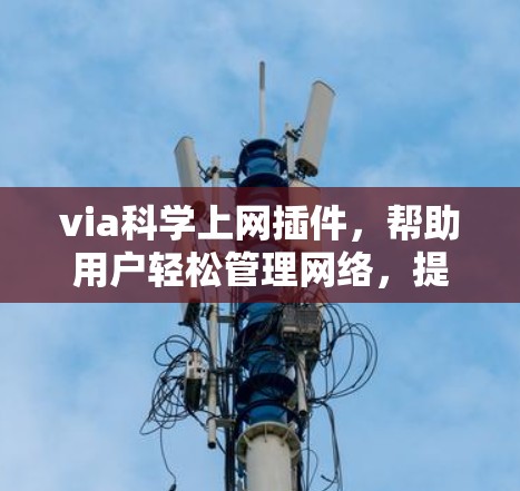 via科学上网插件，帮助用户轻松管理网络，提升用户体验