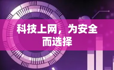 科技上网，为安全而选择