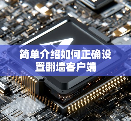 简单介绍如何正确设置翻墙客户端