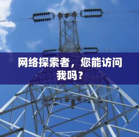 网络探索者，您能访问我吗？