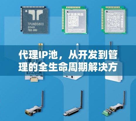 代理IP池，从开发到管理的全生命周期解决方案