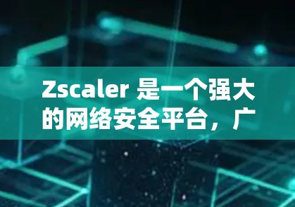 Zscaler 是一个强大的网络安全平台，广泛应用于企业网络的安全防护。它通过整合多种安全机制和实时数据，帮助用户建立和维护一个安全、高效的网络环境。以下是对 Zscaler 在网络防护方面的分析