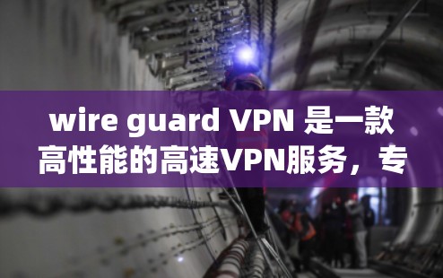 wire guard VPN 是一款高性能的高速VPN服务，专为快速连接和隐私保护设计。以下是一个详细的使用指南