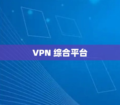 VPN 综合平台