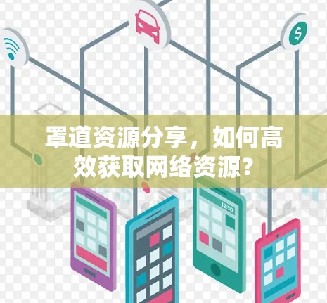 罩道资源分享，如何高效获取网络资源？