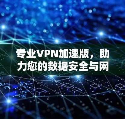 专业VPN加速版，助力您的数据安全与网络顺畅