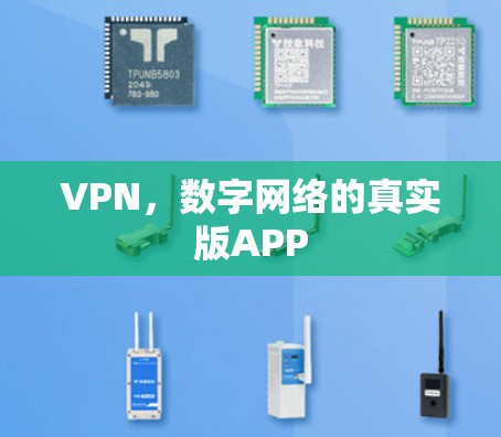 VPN,数字网络的真实版APP VPN,数字网络的真实版APP