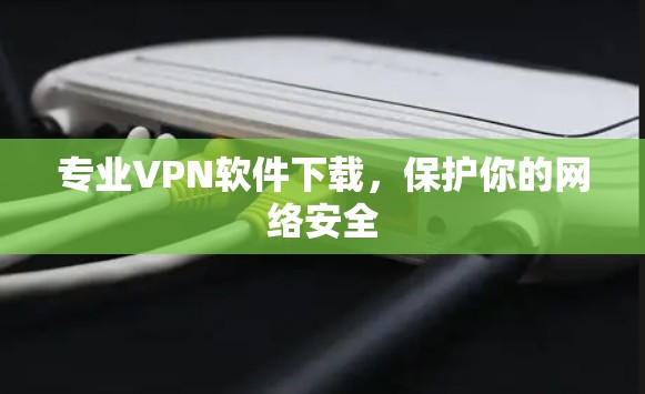 专业VPN软件下载,保护你的网络安全 专业VPN软件下载,保护你的网络安全