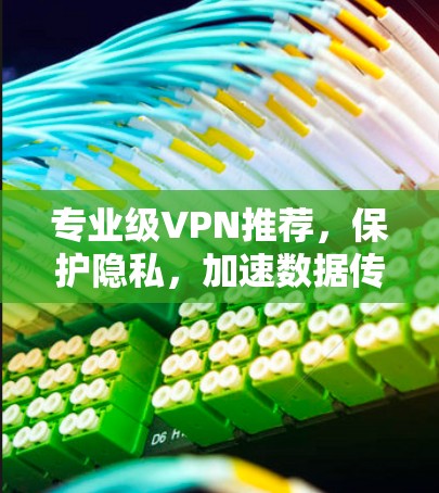 专业级VPN推荐,保护隐私,加速数据传输 专业级VPN推荐,保护隐私,加速数据传输