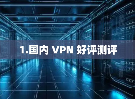 1.国内 VPN 好评测评