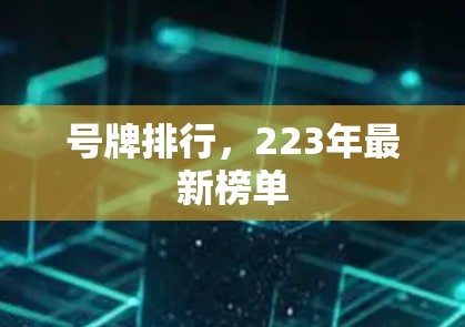 号牌排行，223年最新榜单