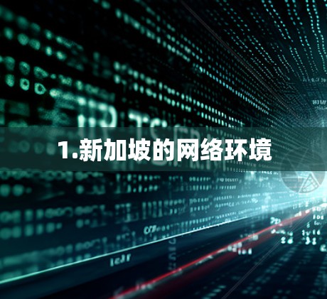 1.新加坡的网络环境 1.新加坡的网络环境