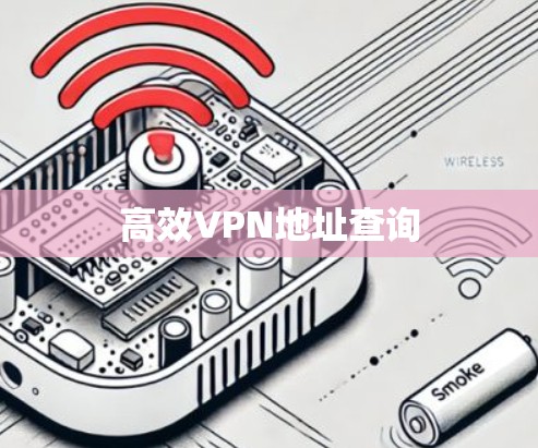 高效VPN地址查询